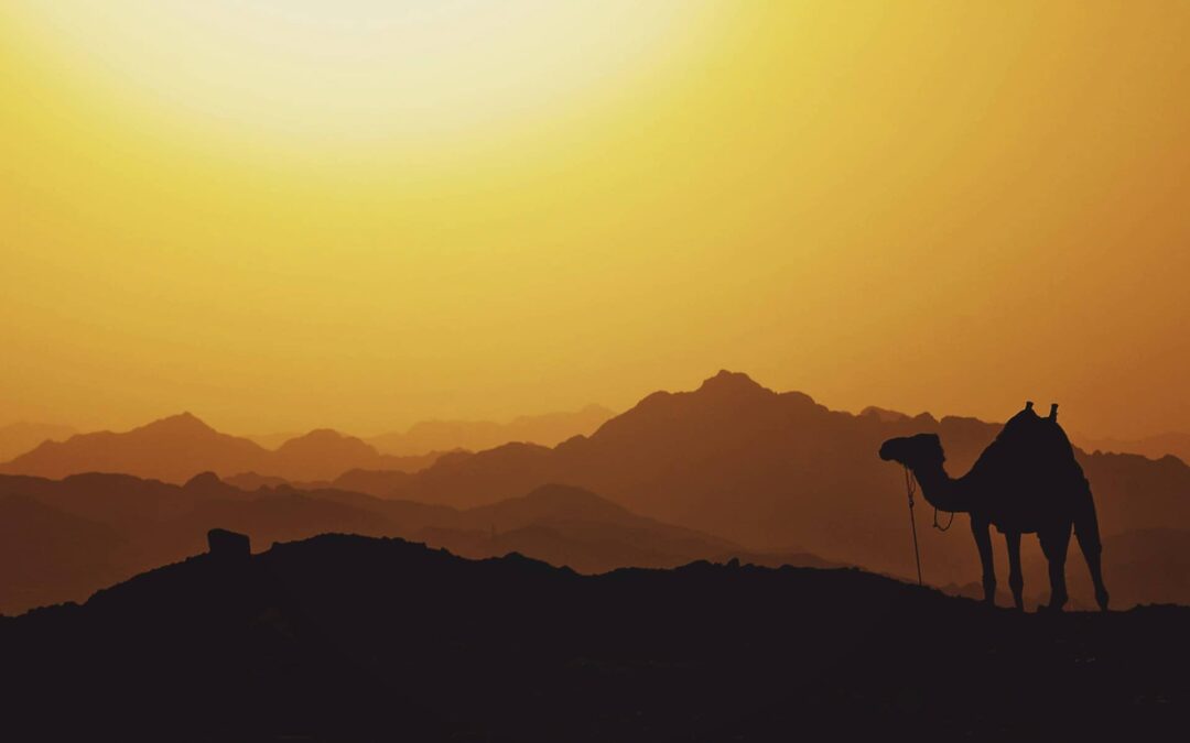 URGENT: Middle East Prophecy We Must Contend for Right Now