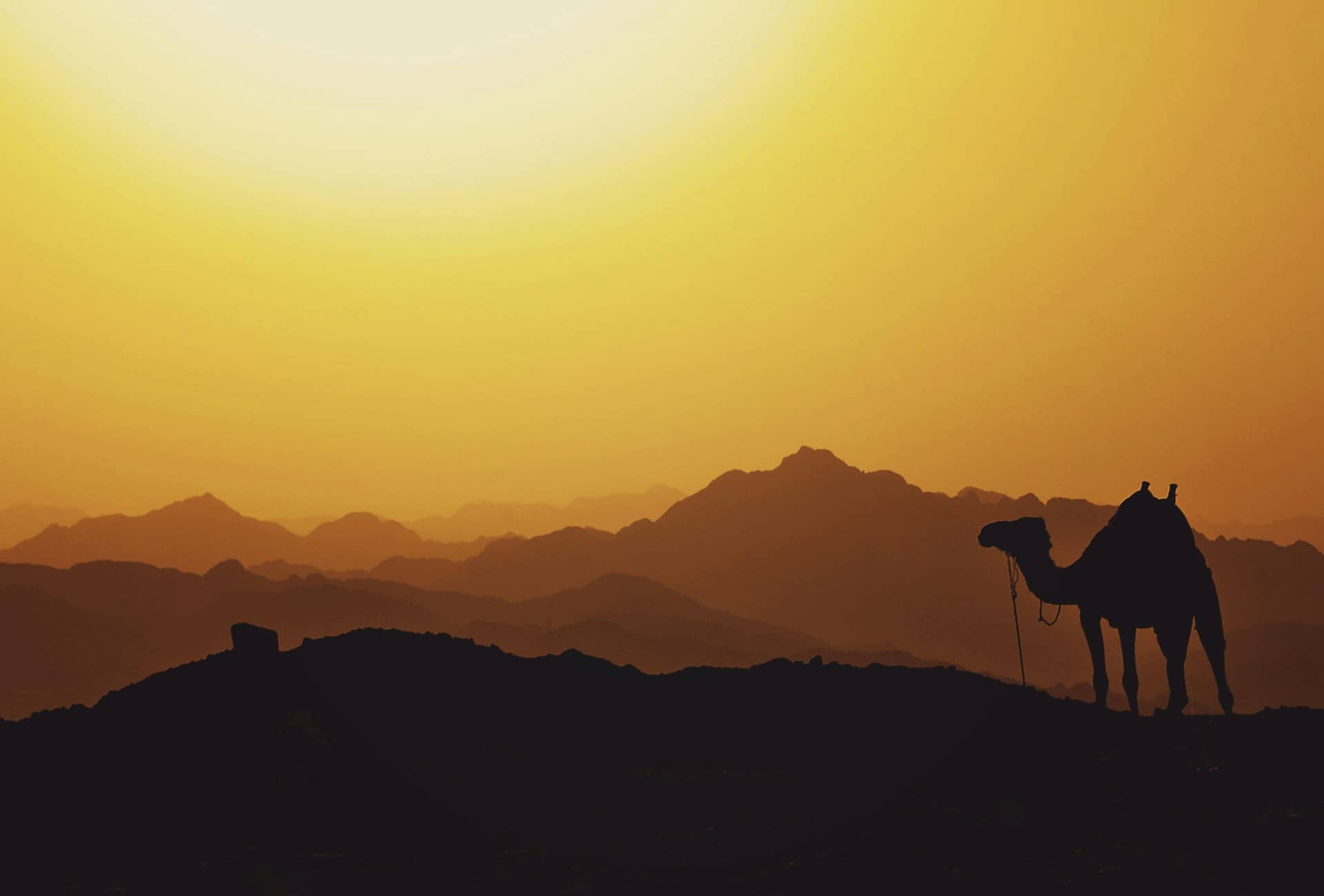 URGENT: Middle East Prophecy We Must Contend for Right Now