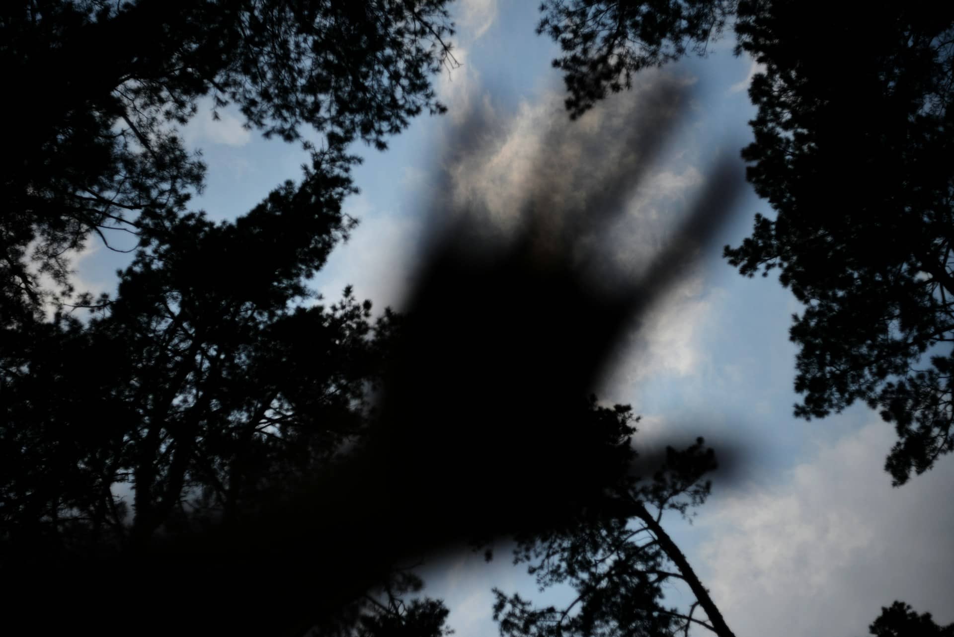 WARNING: I Saw a Nephilim and This is What’s Coming Next